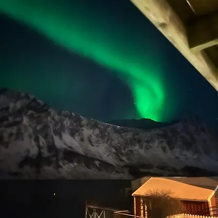 Fantastic House By The Sea In Gryllefjord