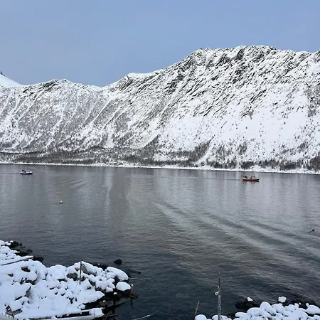 Fantastic House By The Sea In 펜션 Gryllefjord