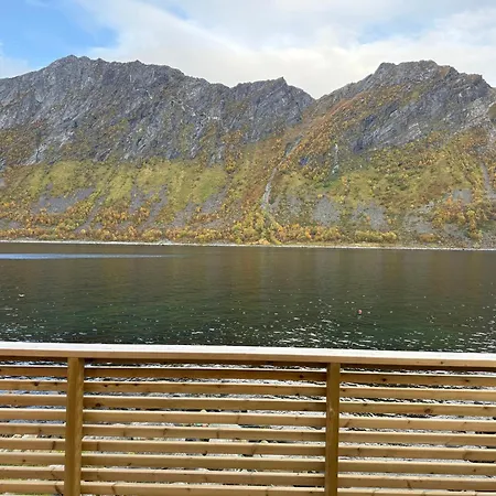 Fantastic House By The Sea In Gryllefjord