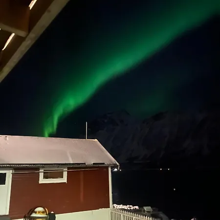 Fantastic House By The Sea In 펜션 Gryllefjord