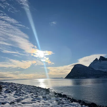 펜션 Fantastic House By The Sea In Gryllefjord