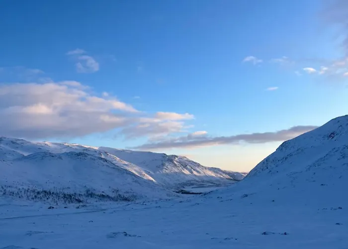 Fantastic House With Seafront In Vakantiehuis Gryllefjord